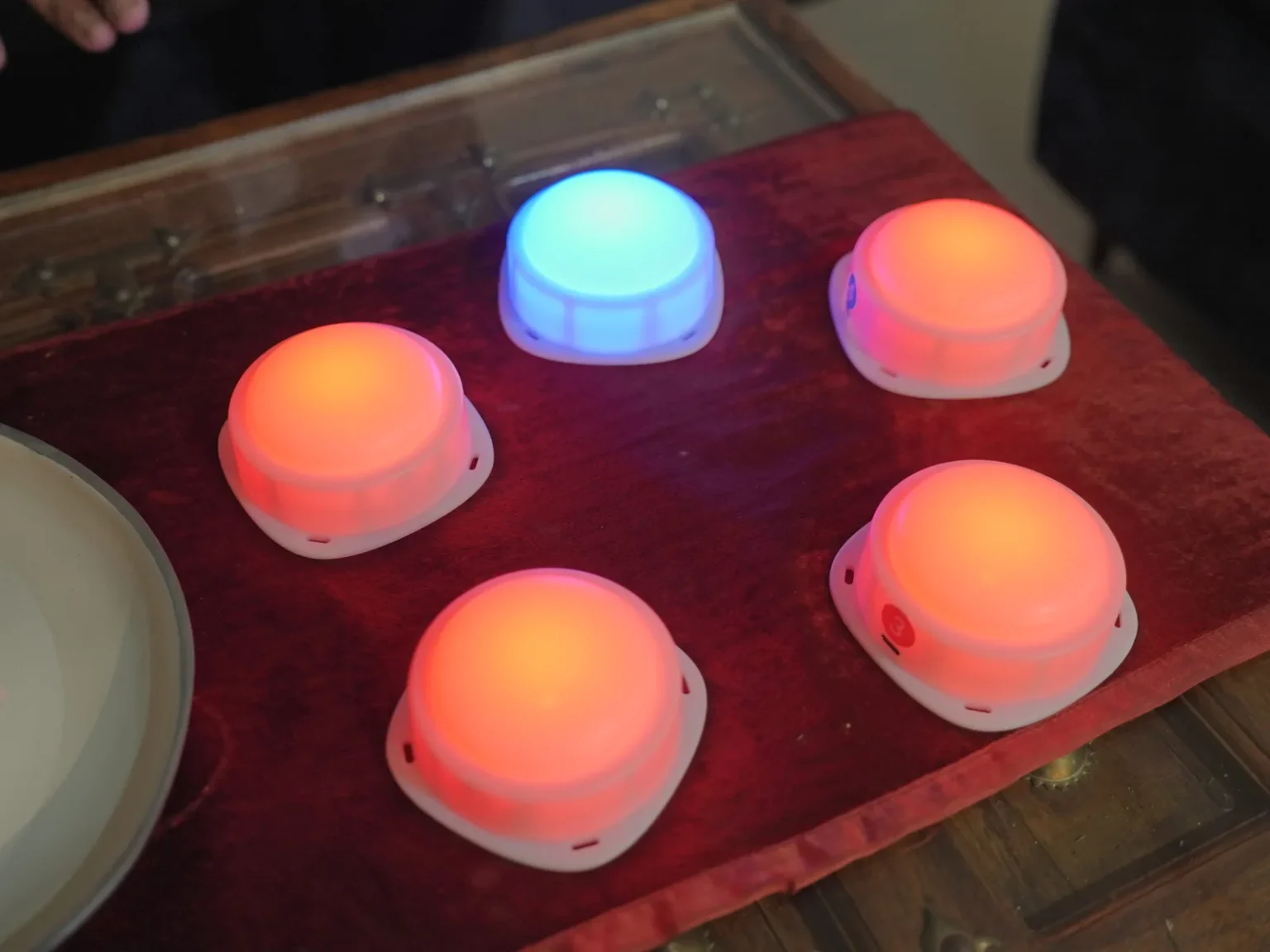 Quiz Granny buzzers lit up on a table
